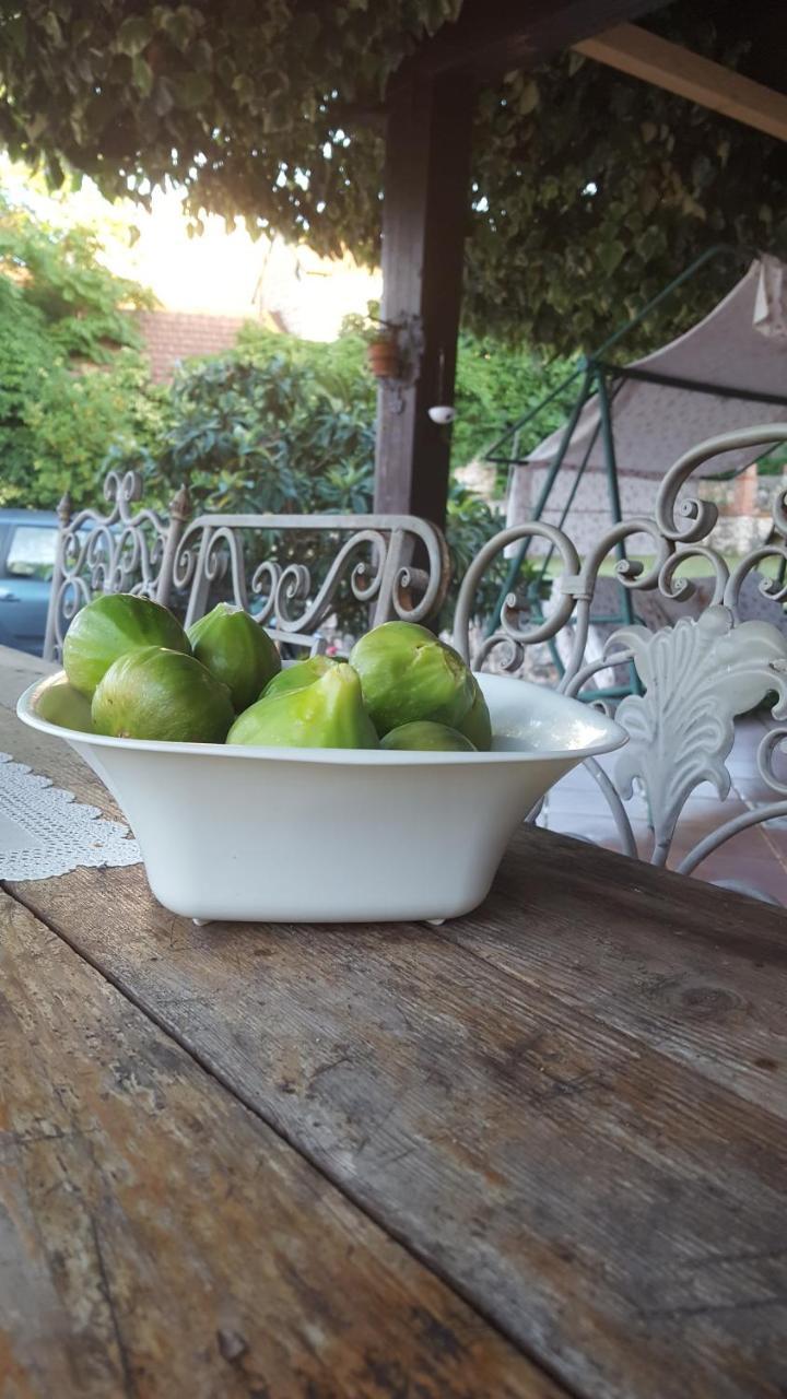 Pansion Ruzic Hotel Međugorje Buitenkant foto